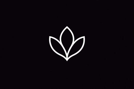 Affiliate Promoter Application – Wellness Mastery Club